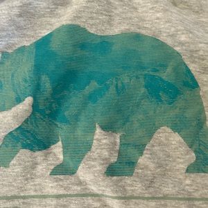 The Noth Face 70/30 Hoodie Sweatshirt gray bear graphic M